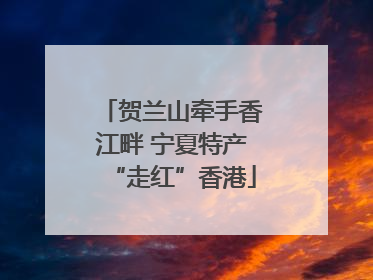 贺兰山牵手香江畔 宁夏特产“走红”香港
