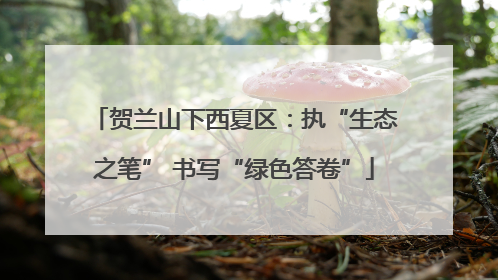 贺兰山下西夏区：执“生态之笔” 书写“绿色答卷”