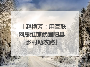 赵艳芳：用互联网思维铺就固阳县乡村助农路