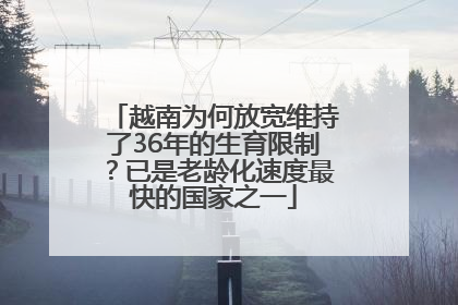 越南为何放宽维持了36年的生育限制？已是老龄化速度最快的国家之一