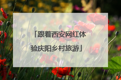 跟着西安网红体验庆阳乡村旅游
