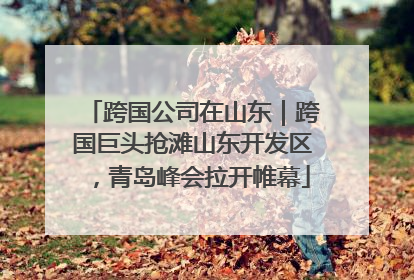 跨国公司在山东｜跨国巨头抢滩山东开发区，青岛峰会拉开帷幕