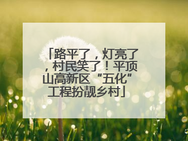 路平了，灯亮了，村民笑了！平顶山高新区“五化”工程扮靓乡村