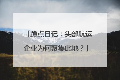 蹲点日记：头部航运企业为何聚集此地？
