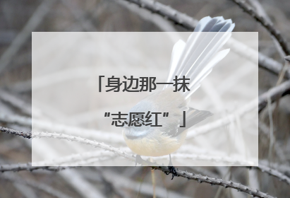 身边那一抹“志愿红”