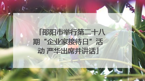 邵阳市举行第二十八期“企业家接待日”活动 严华出席并讲话