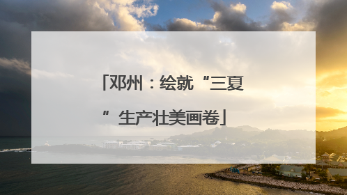 邓州：绘就“三夏”生产壮美画卷