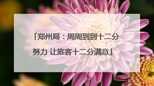 郑州局：周周到到十二分努力 让旅客十二分满意