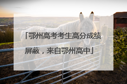 鄂州高考考生高分成绩屏蔽，来自鄂州高中