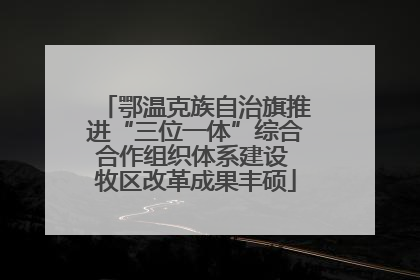鄂温克族自治旗推进“三位一体”综合合作组织体系建设 牧区改革成果丰硕
