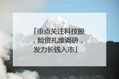 重点关注科技股，险资扎堆调研，发力长钱入市