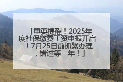 重要提醒！2025年度社保缴费工资申报开启！7月25日前抓紧办理，错过等一年！