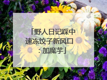 野人日记踩中速冻饺子新风口：加魔芋