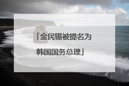 金民锡被提名为韩国国务总理
