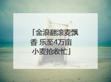 金浪翻滚麦飘香 乐至4万亩小麦抢收忙