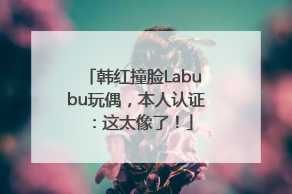 韩红撞脸Labubu玩偶，本人认证：这太像了！