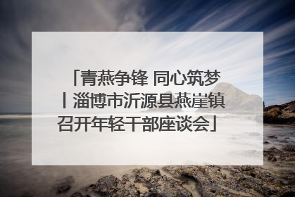 青燕争锋 同心筑梦丨淄博市沂源县燕崖镇召开年轻干部座谈会