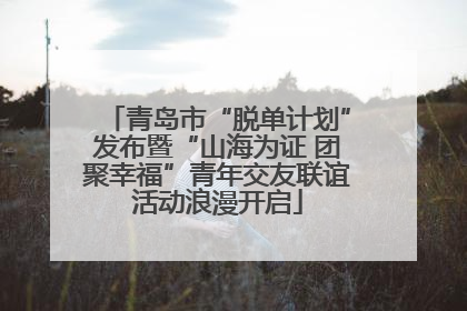青岛市“脱单计划”发布暨“山海为证 团聚幸福”青年交友联谊活动浪漫开启
