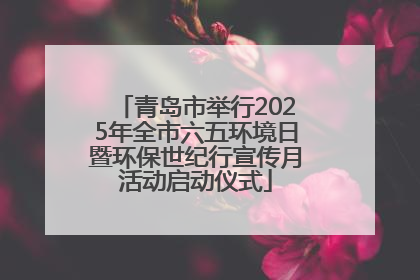 青岛市举行2025年全市六五环境日暨环保世纪行宣传月活动启动仪式