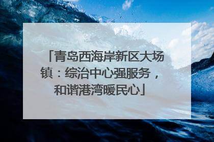 青岛西海岸新区大场镇：综治中心强服务，和谐港湾暖民心