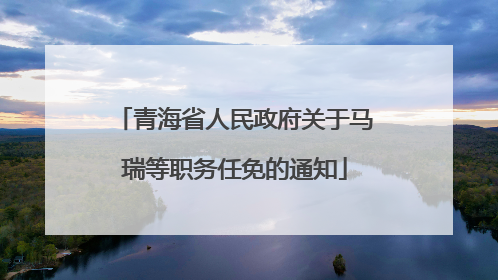 青海省人民政府关于马瑞等职务任免的通知