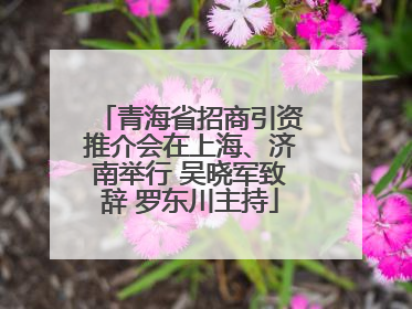 青海省招商引资推介会在上海、济南举行 吴晓军致辞 罗东川主持
