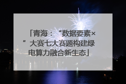 青海：“数据要素×”大赛七大赛题构建绿电算力融合新生态