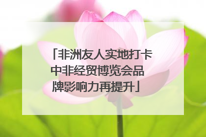 非洲友人实地打卡 中非经贸博览会品牌影响力再提升
