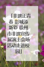 非遗正青春 彭城添新彩 徐州市非遗宣传展演主会场活动走进校园