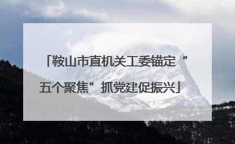 鞍山市直机关工委锚定“五个聚焦”抓党建促振兴
