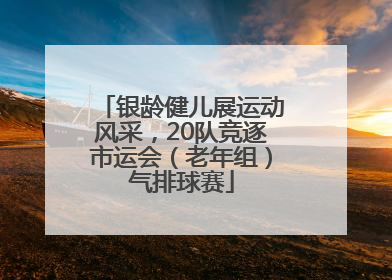 银龄健儿展运动风采，20队竞逐市运会（老年组）气排球赛