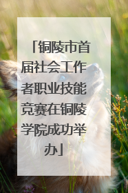 铜陵市首届社会工作者职业技能竞赛在铜陵学院成功举办