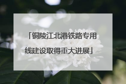 铜陵江北港铁路专用线建设取得重大进展