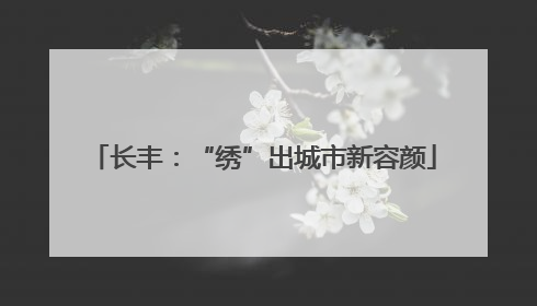 长丰：“绣”出城市新容颜