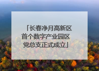 长春净月高新区首个数字产业园区党总支正式成立