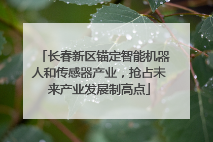 长春新区锚定智能机器人和传感器产业，抢占未来产业发展制高点
