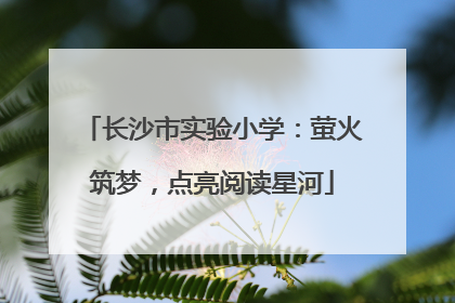 长沙市实验小学：萤火筑梦，点亮阅读星河