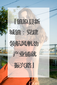 镇原县新城镇：党建领航风帆劲 产业铺就振兴路