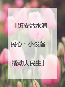 镇安活水润民心：小设备撬动大民生