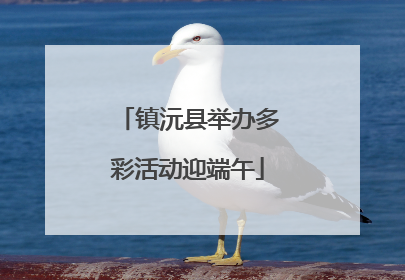 镇沅县举办多彩活动迎端午