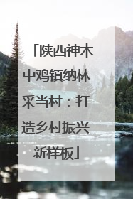陕西神木中鸡镇纳林采当村：打造乡村振兴新样板