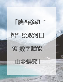 陕西移动“智”绘双河口镇 数字赋能山乡蝶变