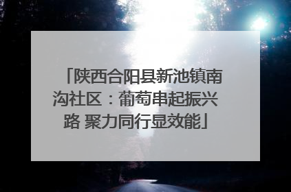 陕西合阳县新池镇南沟社区：葡萄串起振兴路 聚力同行显效能