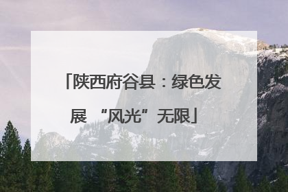 陕西府谷县：绿色发展 “风光”无限