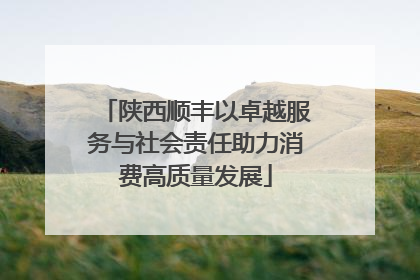 陕西顺丰以卓越服务与社会责任助力消费高质量发展