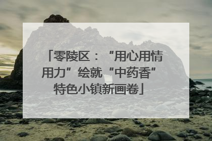 零陵区：“用心用情用力”绘就“中药香”特色小镇新画卷