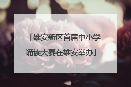 雄安新区首届中小学诵读大赛在雄安举办