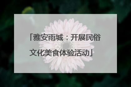 雅安雨城：开展民俗文化美食体验活动