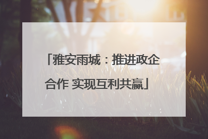 雅安雨城：推进政企合作 实现互利共赢