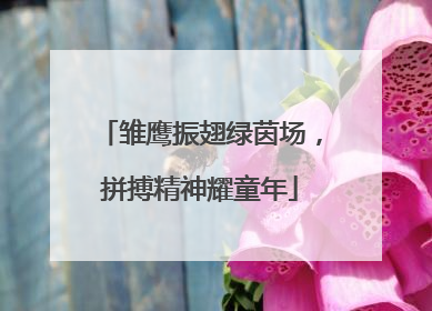 雏鹰振翅绿茵场，拼搏精神耀童年